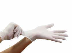 Surgical Gloves | Free Images at Clker.com - vector clip art ...