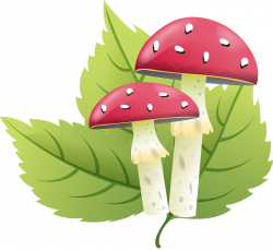 ✿⁀Shrooms‿✿⁀ | ᗰᘎՏɧᖇᎧᎧᗰՏ | Pinterest | Mushrooms, Clip art ...