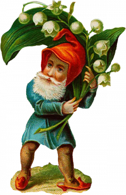 Fairies & Gnomes | Pinterest | Gnomes, Public domain and Fairy