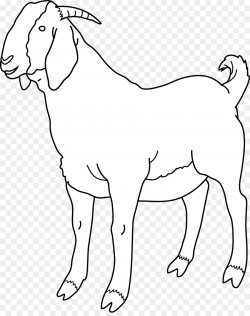 Boer goat Black Bengal goat Sheep Clip art - Free Goat Clipart png ...