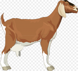 Boer goat Black Bengal goat Clip art - Goat Cliparts