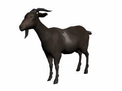 Download Goat PNG Transparent Image #4 - Free Transparent PNG Images ...