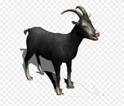 Black Horns Milk Cattle Sheep Eid Muslim - Goat Clipart ...