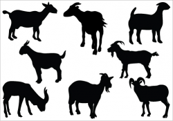Free Pygmy Goat Cliparts, Download Free Clip Art, Free Clip ...