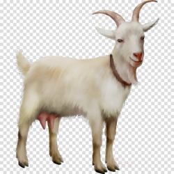 Drawing Of Family clipart - Illustration, Drawing, Goat ...