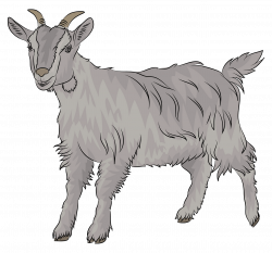 Goat clipart. Free download. | Creazilla