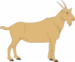 Brown View Barn Farm Goat Side PNG Image - Picpng