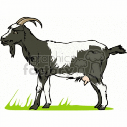 goat clipart. Royalty-free clipart # 128941