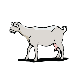 19 Goat clipart family HUGE FREEBIE! Download for PowerPoint ...