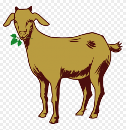 Goat Png Images - Goat Drawing With Colour, Transparent Png ...