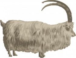 Clipart - Gafr mynydd | Mountain goat
