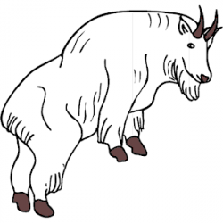 Mountain Goat clipart, cliparts of Mountain Goat free ...