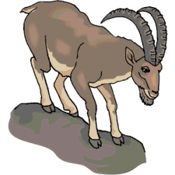 Mountain Goat clipart, cliparts of Mountain Goat free ...