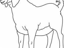 Goat Clipart old goat - Free Clipart on Dumielauxepices.net