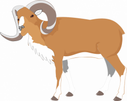 Goat clipart | Nice Coloring Pages for Kids
