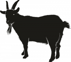 Goat Clipart shadow - Free Clipart on Dumielauxepices.net