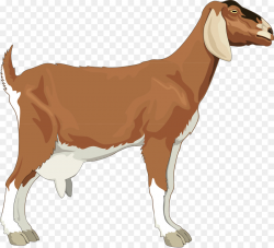 Goat Cartoon png download - 1280*1164 - Free Transparent ...