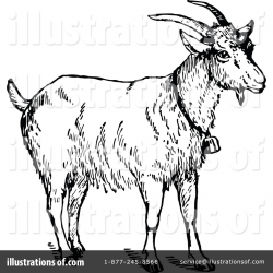 Goat Clipart #1135254 - Illustration by Prawny Vintage