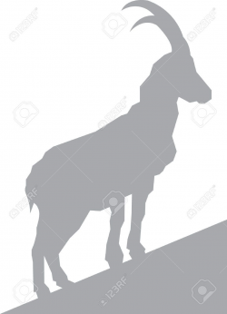 Mountain Goat Stock Vector Illustration And Royalty Free ...