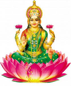Lakshmi Flower transparent PNG - StickPNG