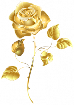 Beautiful Gold Rose PNG Clip Art Image | Wallpapers and more ...
