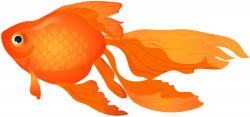Goldfish Transparent PNG Clip Art Image | Gallery Yopriceville ...