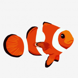 Goldfish Marine Life, Clownfish, Fish, A Fish PNG ...