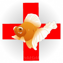 Goldfish First-Aid Kit – Solid Gold Aquatics