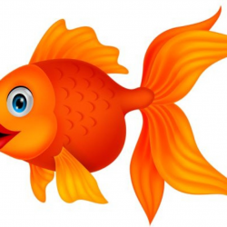 Goldfish Clip Art Clipart At Getdrawings Free For Personal ...