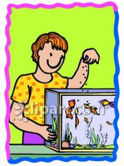 A Woman Feeding Goldfish In a Tank - Royalty Free Clipart ...