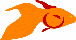 Goldfish | Free Stock Photo | Illustration of a goldfish | # 6385