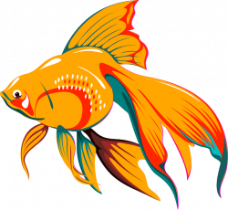 Fish Graphic Image Group (52+)