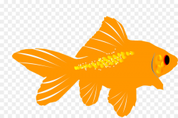Fish Cartoon clipart - Fish, Orange, Font, transparent clip art
