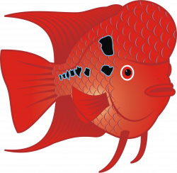 Clipart - Red Goldfish