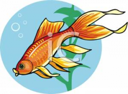 Swimming Fancy Goldfish - Royalty Free Clipart Picture