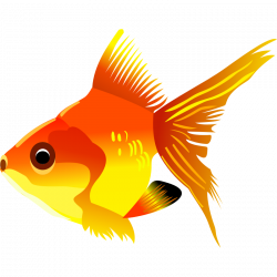 goldfish Clipart - Cartoon Images - Hanslodge Cliparts