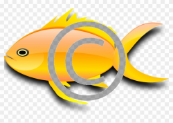 Goldfish - Png - Gold Fish Clip Art, Transparent Png ...