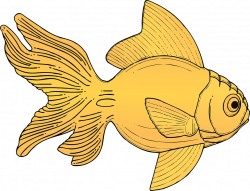 Collection of 14 free Barbing clipart goldfish. Download on ubiSafe