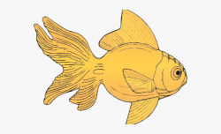 Gold Fish Clipart Goldfish Outline - Gold Fish Clip Art ...