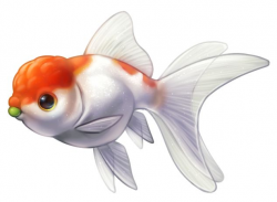 Free Goldfish Heart Cliparts, Download Free Clip Art, Free ...