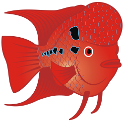 OnlineLabels Clip Art - Red Goldfish