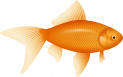 Goldfish clip art - vector clip art online, royalty free ...