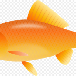 Fish Cartoon clipart - Fish, Orange, Yellow, transparent ...