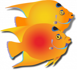 Fish-Red/OrangePair - Leftover LogosLeftover Logos