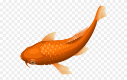 Goldfish Clipart Pretty Fish - Png Download - Clipart Png ...