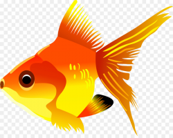 Fish Cartoon png download - 3840*3034 - Free Transparent ...