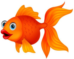 Résultats de recherche d'images pour « poisson clipart ...