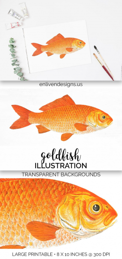 Koi Goldfish Clipart Instant Digital Download - Fish Printable Wall Art
