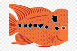 Goldfish Clipart Puffer Fish - Goldfish, HD Png Download ...