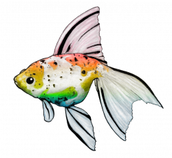 Rainbow Golfish by NickiDoodles on DeviantArt